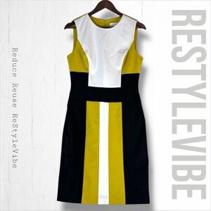 CALVIN KLEIN Women’s Size 6 Dress Sheath Knee Length  Lined Color Block